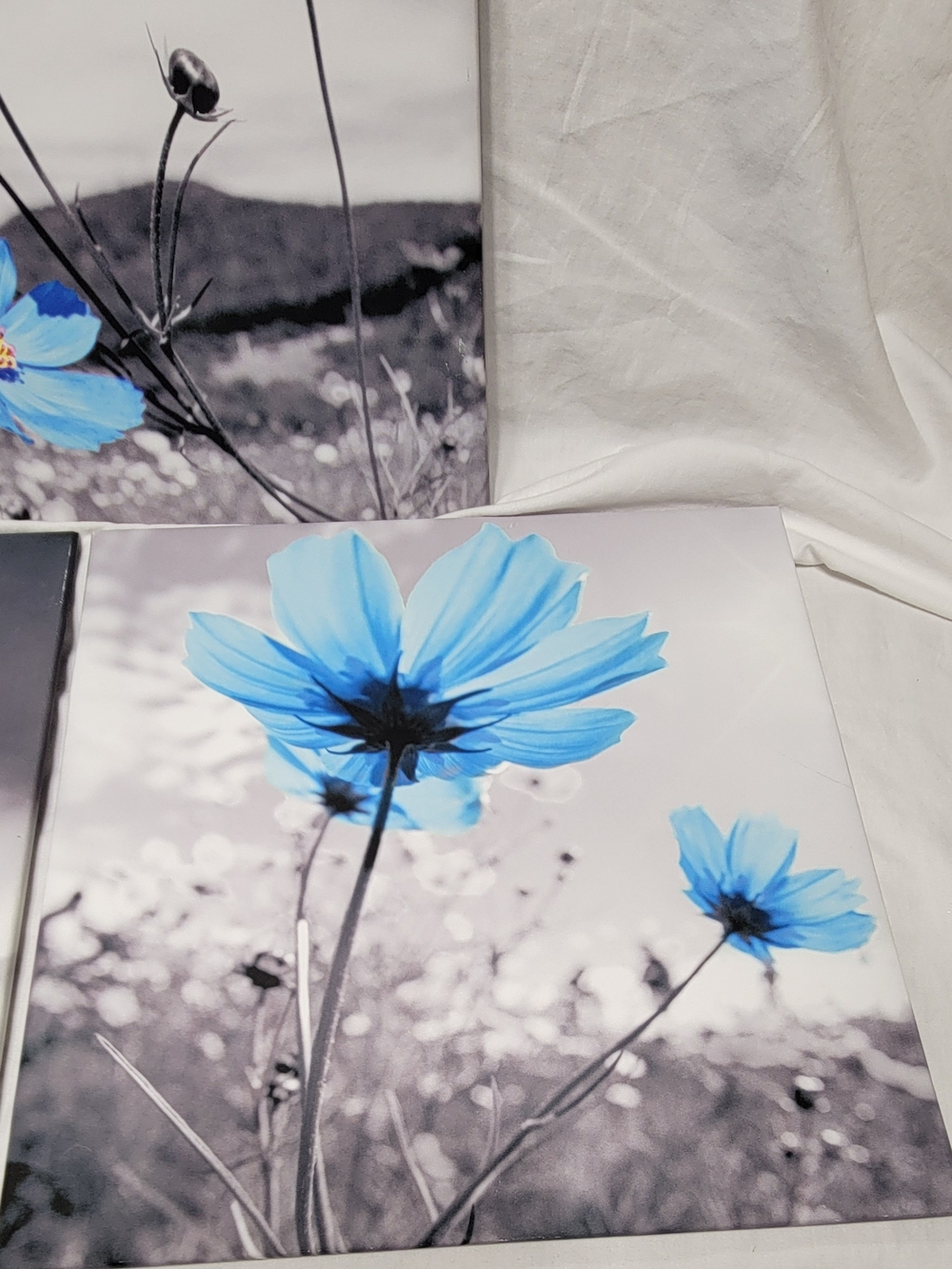 Blue Flower Canvas Print 3 Piece Set, Black/White Background, Ready to Hang
